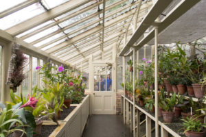 botanical garden